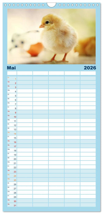 Küken in der Kinderstube (CALVENDO Familienplaner 2026)