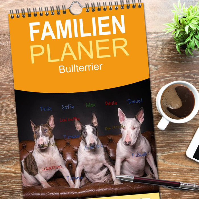 Bullterrier (CALVENDO Familienplaner 2026)