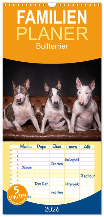 Bullterrier (CALVENDO Familienplaner 2026)
