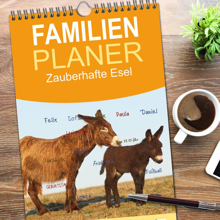 Zauberhafte Esel (CALVENDO Familienplaner 2026)