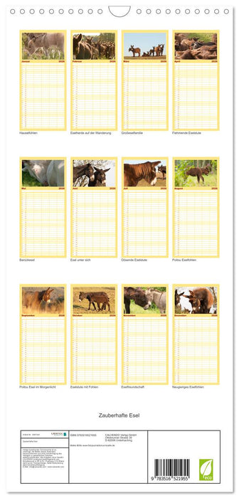 Zauberhafte Esel (CALVENDO Familienplaner 2026)
