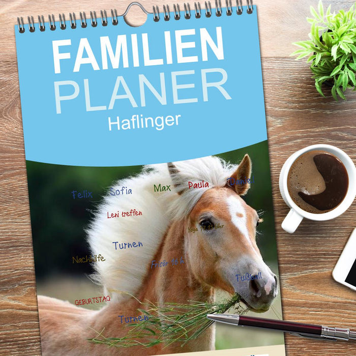Haflinger (CALVENDO Familienplaner 2026)