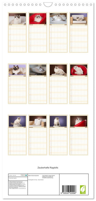 Zauberhafte Ragdolls (CALVENDO Familienplaner 2026)