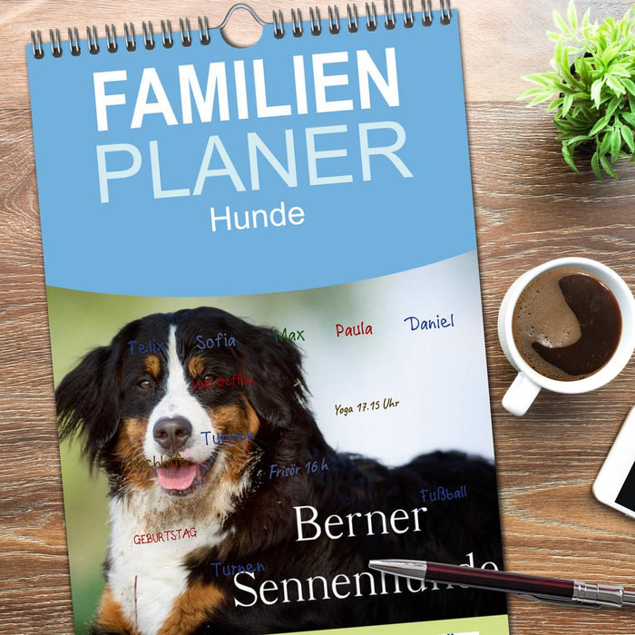 Berner Sennenhunde (CALVENDO Familienplaner 2026)