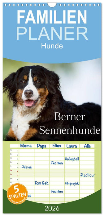 Berner Sennenhunde (CALVENDO Familienplaner 2026)