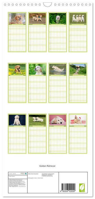 Golden Retriever (CALVENDO Familienplaner 2026)