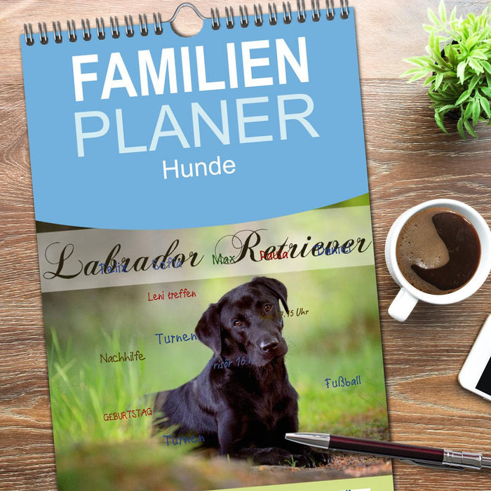 Labrador Retriever (CALVENDO Familienplaner 2026)