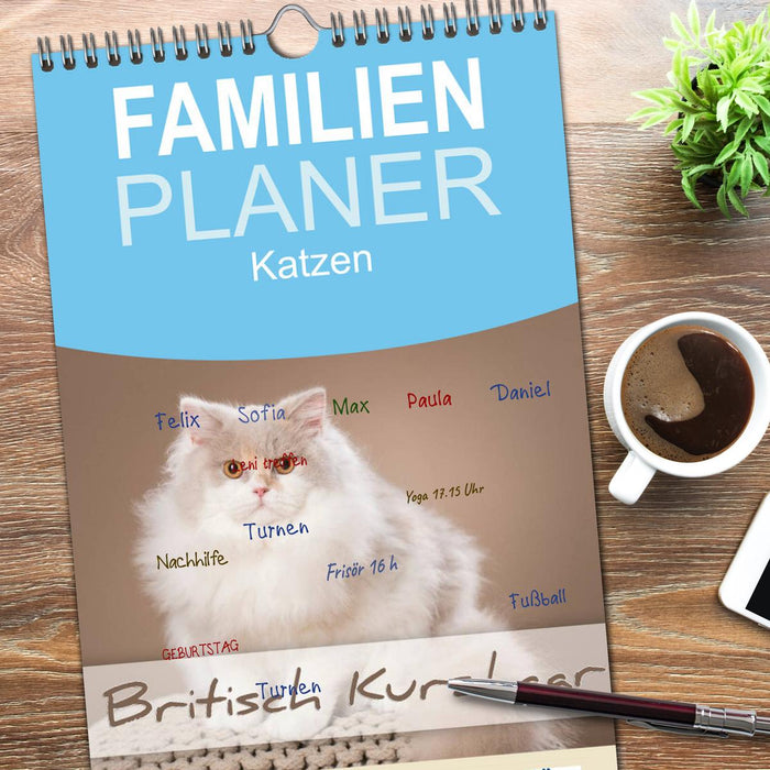Die Britisch Kurzhaar Katze (CALVENDO Familienplaner 2026)