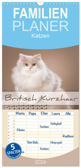 Die Britisch Kurzhaar Katze (CALVENDO Familienplaner 2026)