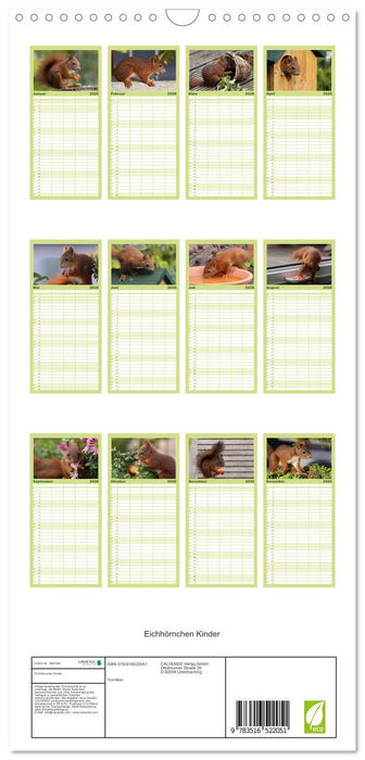 Eichhörnchen Kinder (CALVENDO Familienplaner 2026)