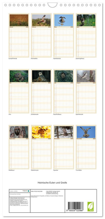 Heimische Eulen und Greife (CALVENDO Familienplaner 2026)
