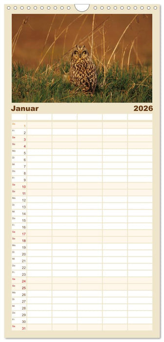 Heimische Eulen und Greife (CALVENDO Familienplaner 2026)