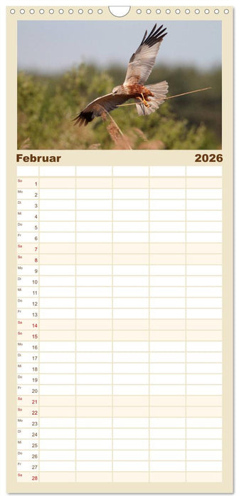 Heimische Eulen und Greife (CALVENDO Familienplaner 2026)