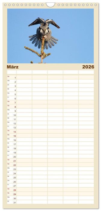 Heimische Eulen und Greife (CALVENDO Familienplaner 2026)