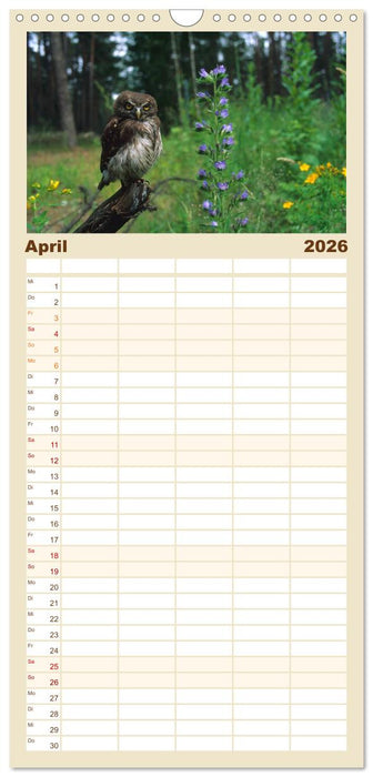 Heimische Eulen und Greife (CALVENDO Familienplaner 2026)