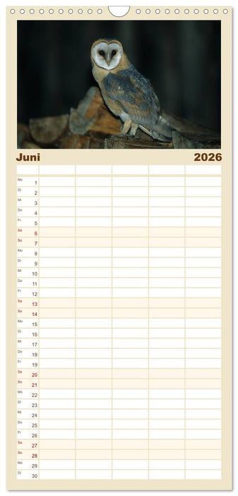 Heimische Eulen und Greife (CALVENDO Familienplaner 2026)