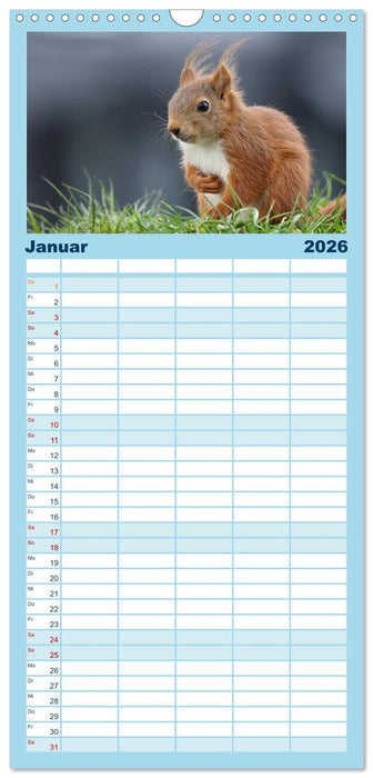 Eichhörnchen Luna und ihre Kinder (CALVENDO Familienplaner 2026)
