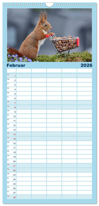 Eichhörnchen Luna und ihre Kinder (CALVENDO Familienplaner 2026)