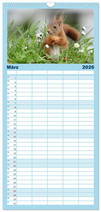 Eichhörnchen Luna und ihre Kinder (CALVENDO Familienplaner 2026)
