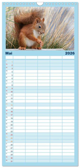 Eichhörnchen Luna und ihre Kinder (CALVENDO Familienplaner 2026)