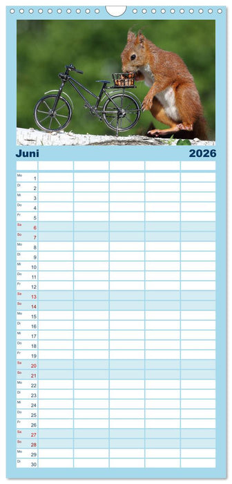 Eichhörnchen Luna und ihre Kinder (CALVENDO Familienplaner 2026)