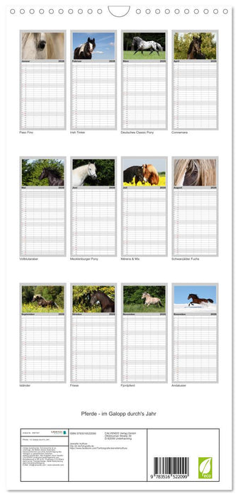 Pferde - im Galopp durch's Jahr (CALVENDO Familienplaner 2026)