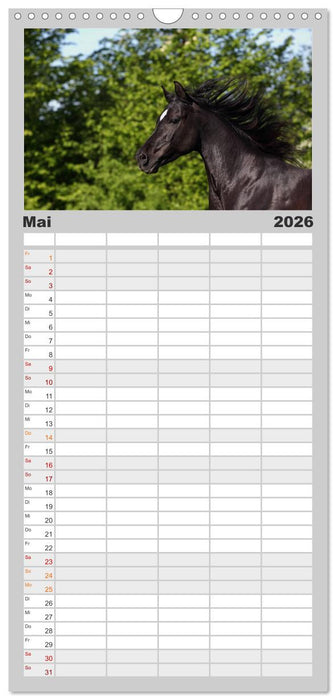 Pferde - im Galopp durch's Jahr (CALVENDO Familienplaner 2026)