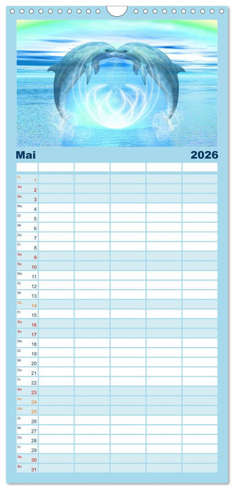 Delfine - Kalender (CALVENDO Familienplaner 2026)