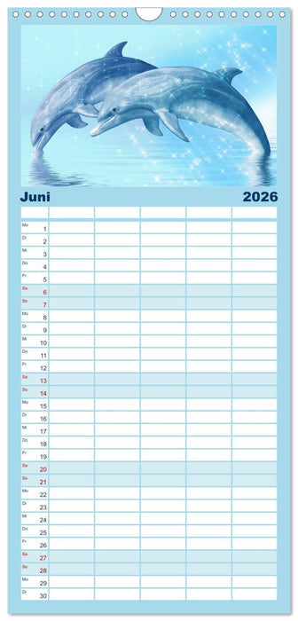 Delfine - Kalender (CALVENDO Familienplaner 2026)
