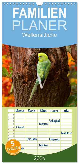 Wellensittiche (CALVENDO Familienplaner 2026)