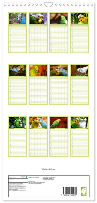 Wellensittiche (CALVENDO Familienplaner 2026)