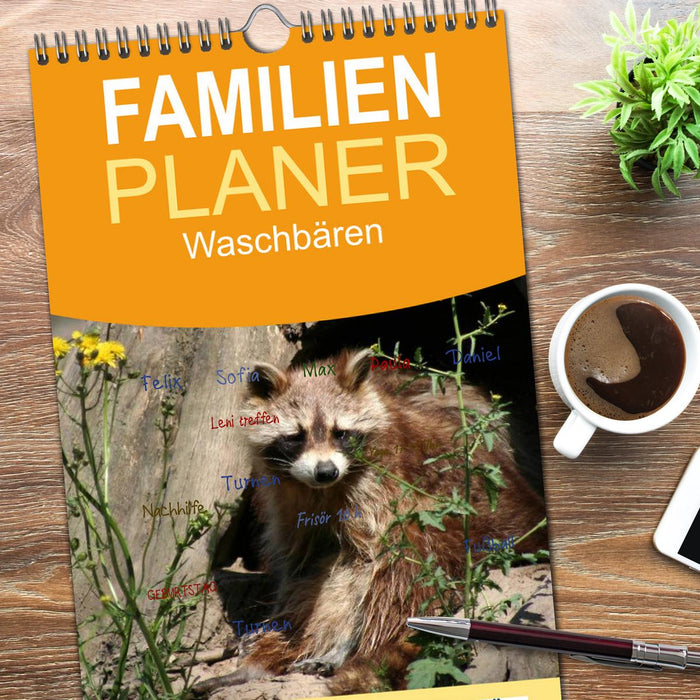 Waschbären (CALVENDO Familienplaner 2026)