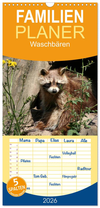 Waschbären (CALVENDO Familienplaner 2026)