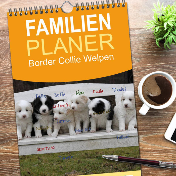 Border Collie Welpen (CALVENDO Familienplaner 2026)