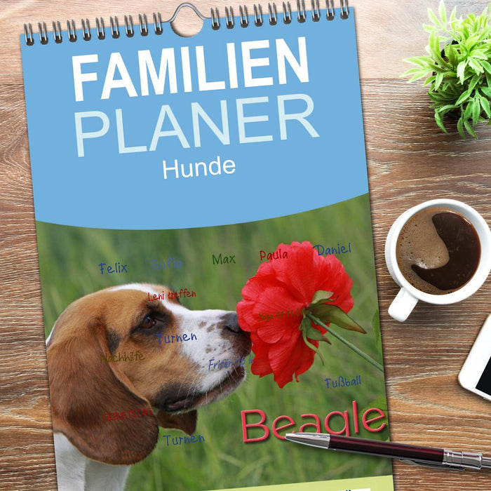 Beagle (CALVENDO Familienplaner 2026)
