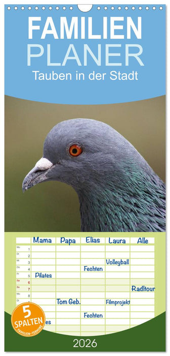 Tauben in der Stadt (CALVENDO Familienplaner 2026)
