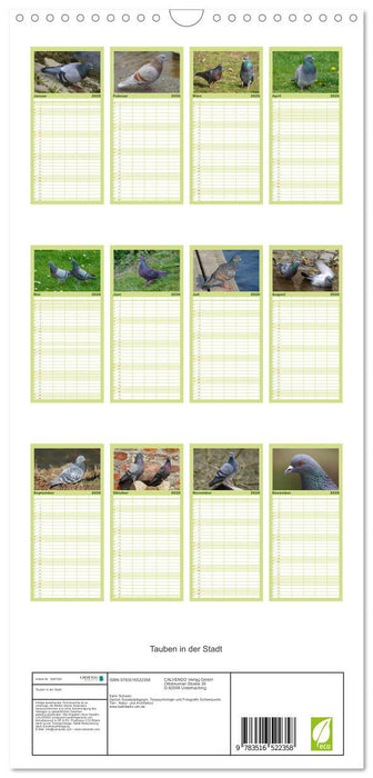 Tauben in der Stadt (CALVENDO Familienplaner 2026)