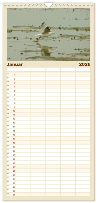 An der Nordsee (CALVENDO Familienplaner 2026)