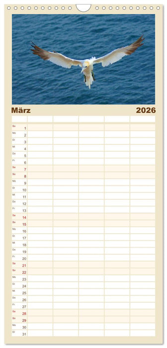 An der Nordsee (CALVENDO Familienplaner 2026)