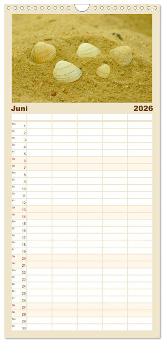 An der Nordsee (CALVENDO Familienplaner 2026)