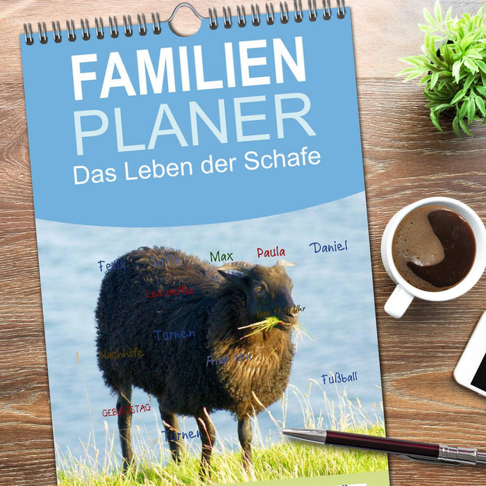Das Leben der Schafe (CALVENDO Familienplaner 2026)