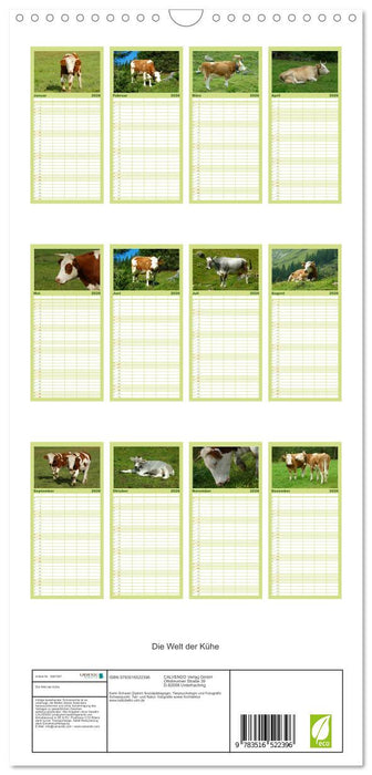 Die Welt der Kühe (CALVENDO Familienplaner 2026)