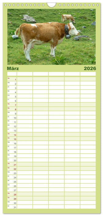 Die Welt der Kühe (CALVENDO Familienplaner 2026)