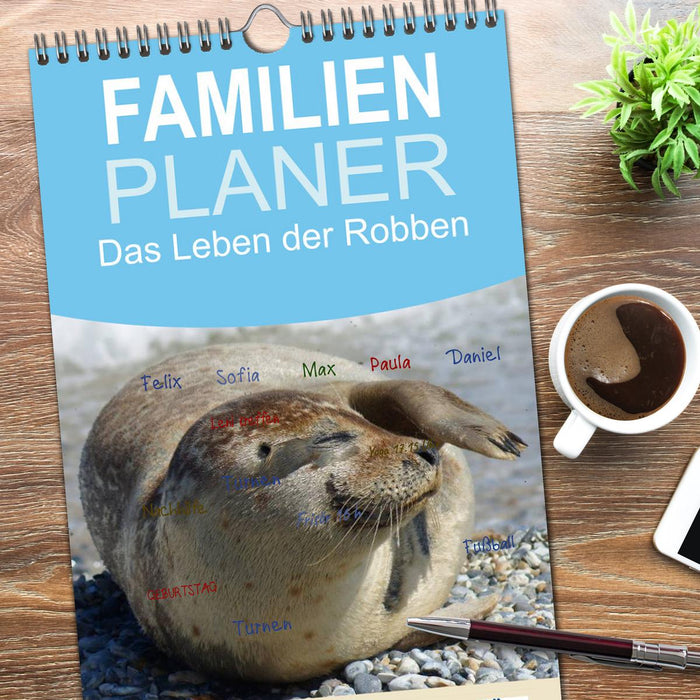 Das Leben der Robben (CALVENDO Familienplaner 2026)