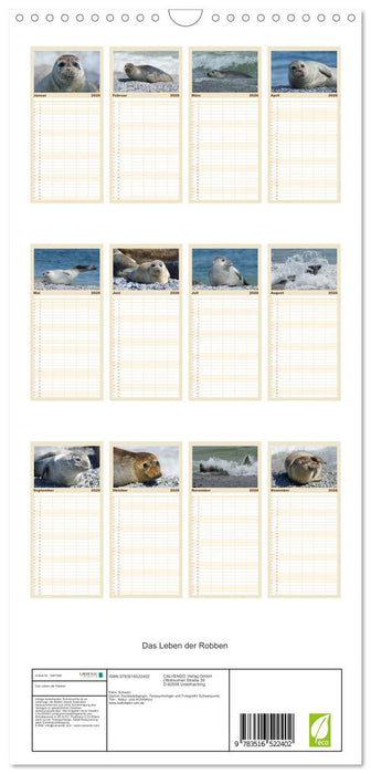 Das Leben der Robben (CALVENDO Familienplaner 2026)