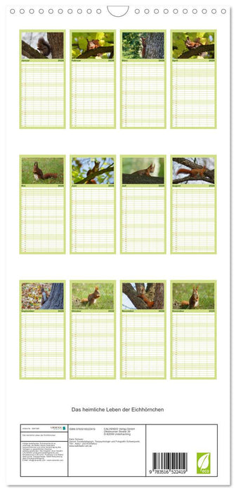 Das heimliche Leben der Eichhörnchen (CALVENDO Familienplaner 2026)