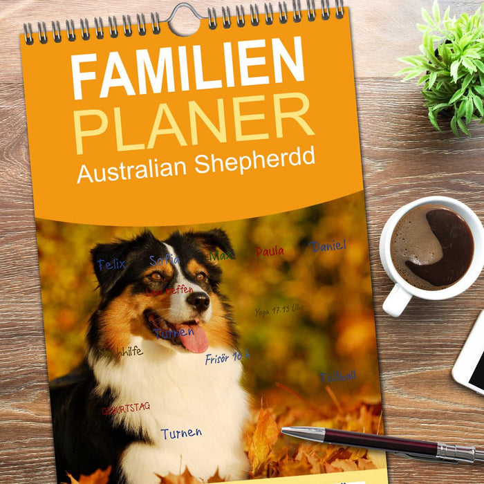 Bekannt wie ein bunter Hund. Australian Shepherd (CALVENDO Familienplaner 2026)