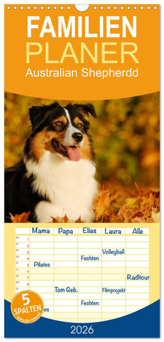 Bekannt wie ein bunter Hund. Australian Shepherd (CALVENDO Familienplaner 2026)