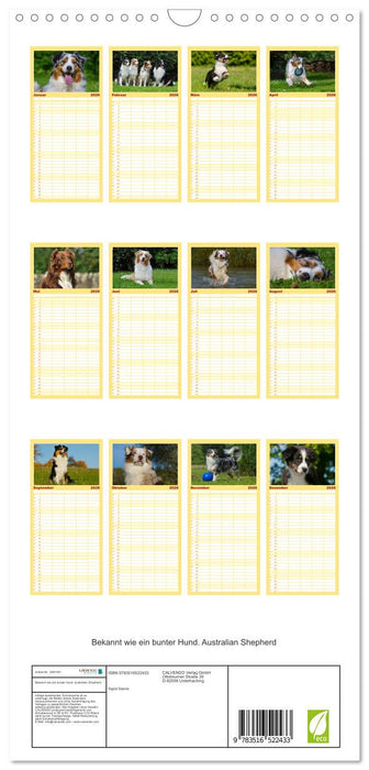 Bekannt wie ein bunter Hund. Australian Shepherd (CALVENDO Familienplaner 2026)