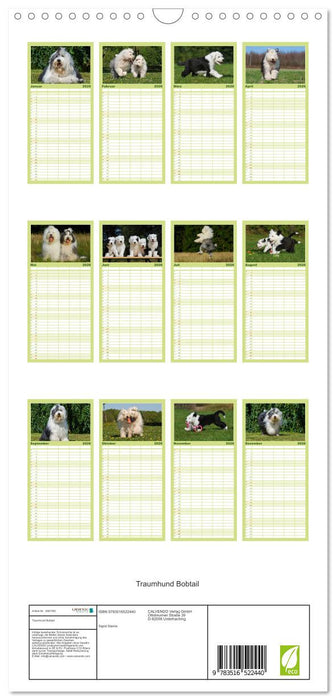 Traumhund Bobtail (CALVENDO Familienplaner 2026)